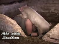 Man spreads his butt cheeks for his horny pig to fuck
